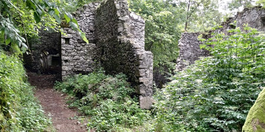 Muri in pietra senza tetto, invasi dalla vegetazione, lungo la mulattiera
