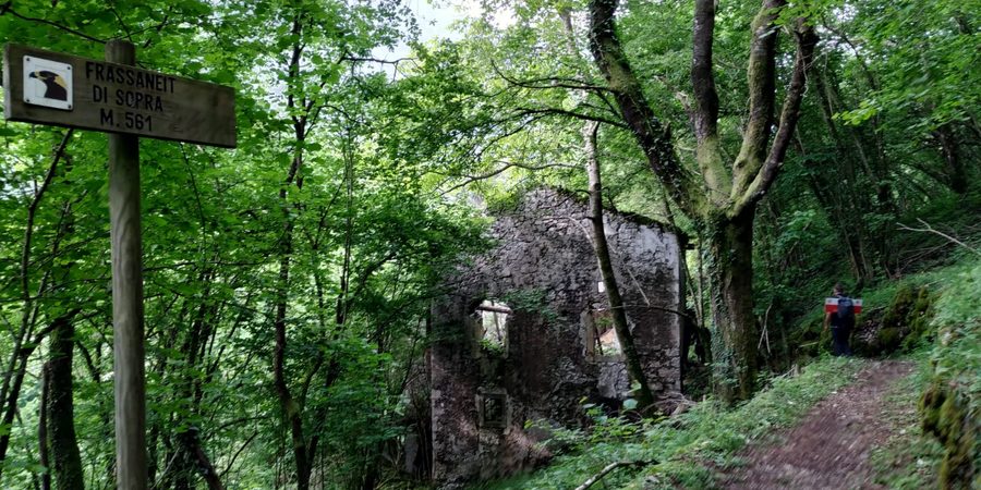 Cartello di legno «Frassaneit di Sopra m. 561» accanto a un rudere, lungo il sentiero nel bosco